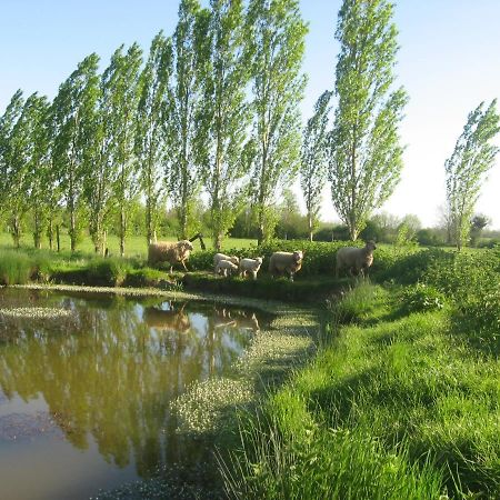 Bed and Breakfast La Ferme De Magnantru Perigne Экстерьер фото